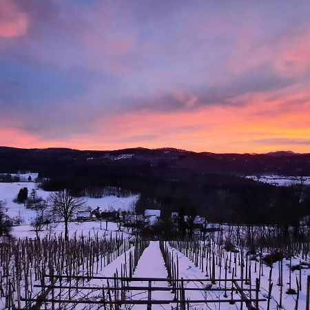 Vineyard Cottage Kulovec Ursna Sela Екстериор снимка