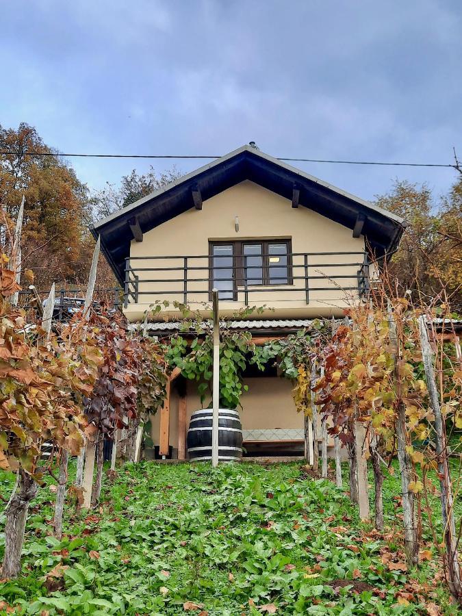Vineyard Cottage Kulovec Ursna Sela Екстериор снимка