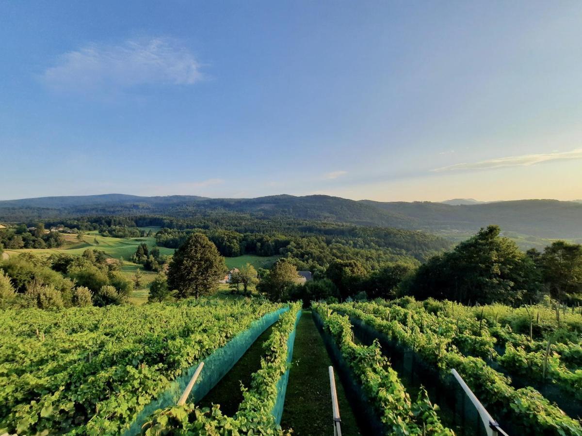 Vineyard Cottage Kulovec Ursna Sela Екстериор снимка