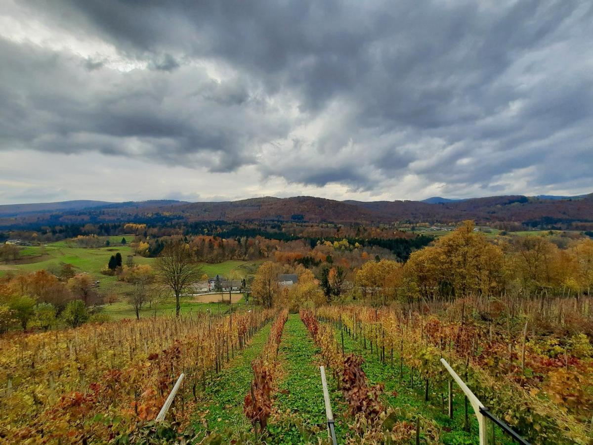 Vineyard Cottage Kulovec Ursna Sela Екстериор снимка