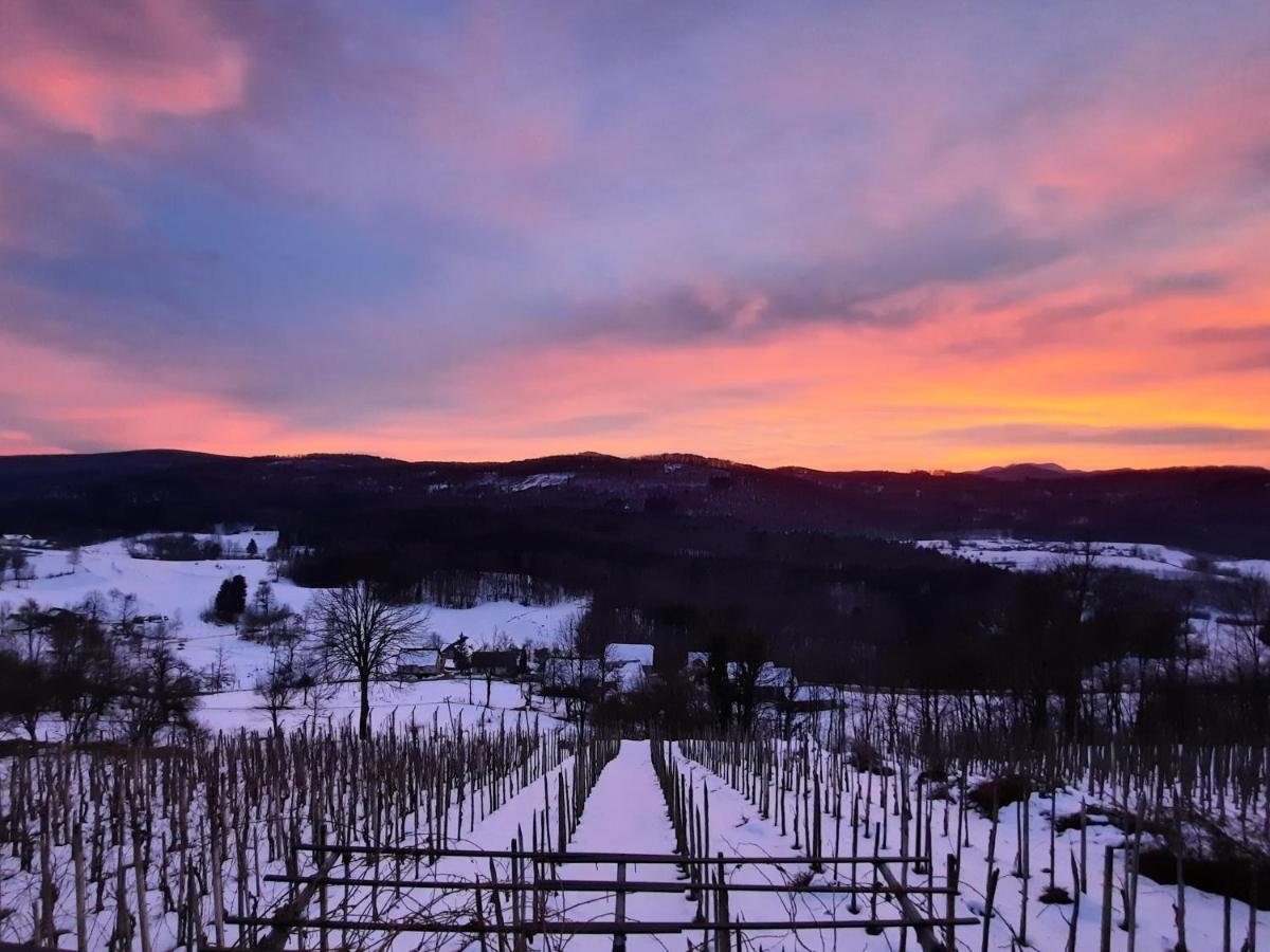 Vineyard Cottage Kulovec Ursna Sela Екстериор снимка
